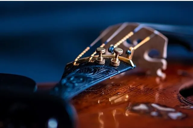 Music-viola